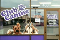 Storefront Window and Door Graphics